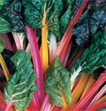 Swiss Chard